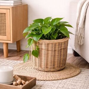 Wicker Basket